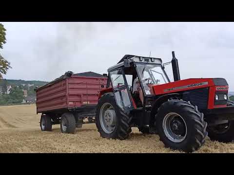 Podjazd pod stromą górę 🔥 - ursus 1614 💪