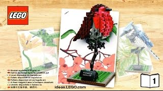 LEGO Ideas Птахи (21301) - відео 2
