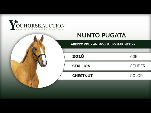 Nunto-Pugata Type & Walk