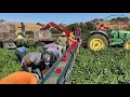 NU Harvest Belt Foldable Conveyor Belt