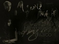 Гермиона и Драко - Похожа на любовь 