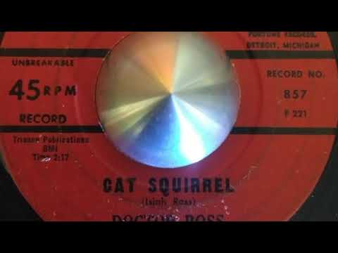 Doctor Ross Cat squirrel
