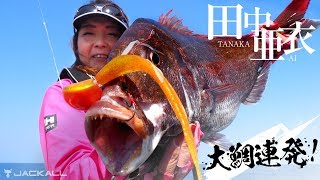 田中亜衣/ビンビン玉シリーズで大鯛連発 (京都丹後)