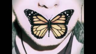 Chris Leonis - Fly Away