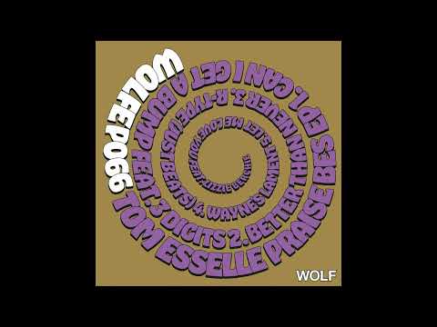 Tom Esselle – Wayne's Lament