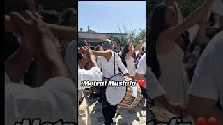 Download lagu Motrat Mustafa e kallin një dasmë tipike tradicionale mp3
