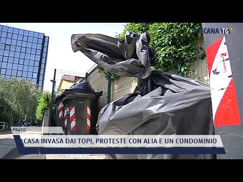 2021-05-04 PRATO - CASA INVASA DAI TOPI, PROTESTE CON ALIA E UN CONDOMINIO