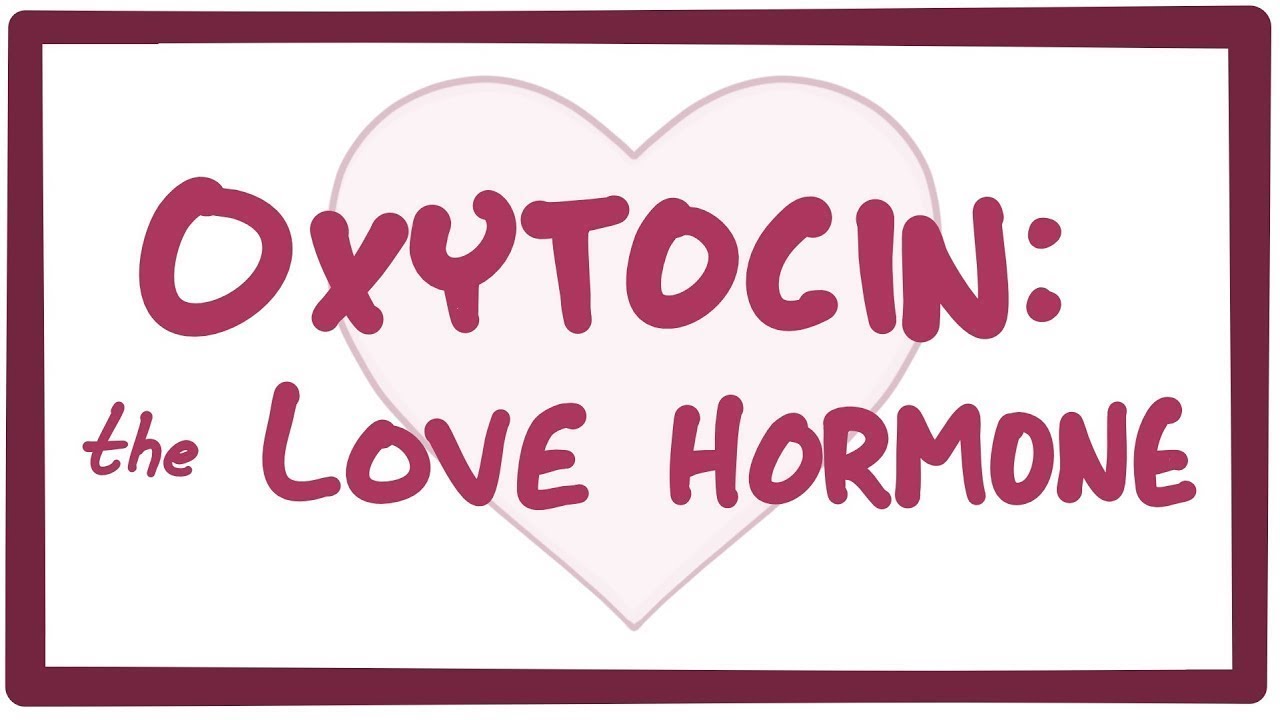Oxytocin: The reason we fall in love