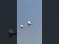 Two F 35 HIGH SPEED Low Pass And Vapor Cone Amazing Jet F35 Fighterjet Usairforce