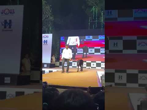 Tyson Balgam 30 th Prize. Thane Pet Fest 23 feb 2020