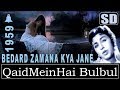 Qaid Mein Hai Bulbul (SD) (Dolby Digital) Lata Jee-Bedard Zamana Kya Jaane 1959-Kalyanji Viirji Shah Qaid Mein Hai Bulbul (SD) (Dolby Digital) Lata Jee-Bedard Zamana Kya Jaane 1959-Kalyanji Viirji Shah