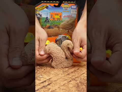 【ラブル＆クルー】不思議なお砂付き！ビルドフィギュアセットをブルっと開封【タカラトミー公式】｜PAW Patrol　＃shorts