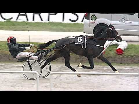 Napoli Trotto 20/01/2023 - 3ª corsa