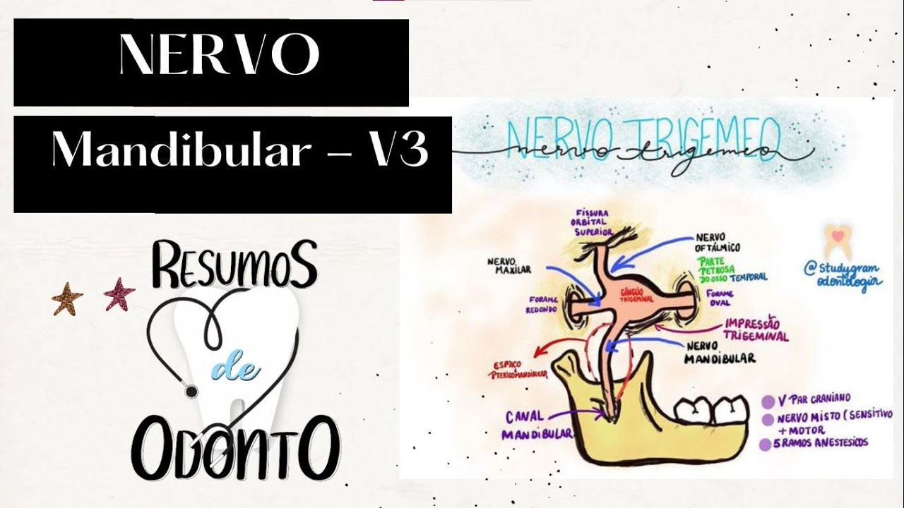NERVOS BUCAIS - Como anestesiar??  | NERVOS MANDIBULARES