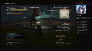 ドラゴンズドグマ　まったりプレイ
