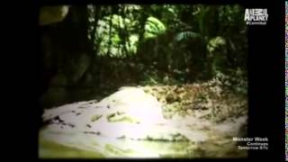 The cannibal in the jungle real film