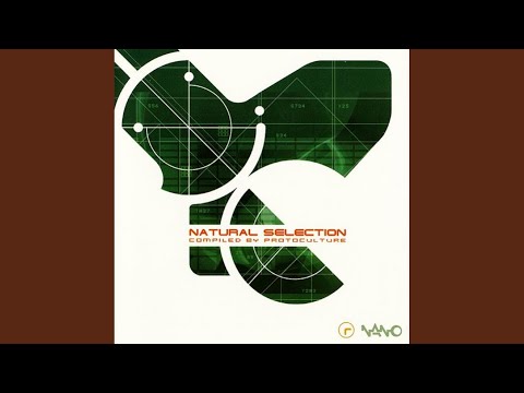 Celtych (Original Mix)