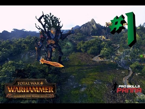 ARISE DURTHU | WOOD ELVES TOTAL WAR WARHAMMER | GRAND CAMPAIGN