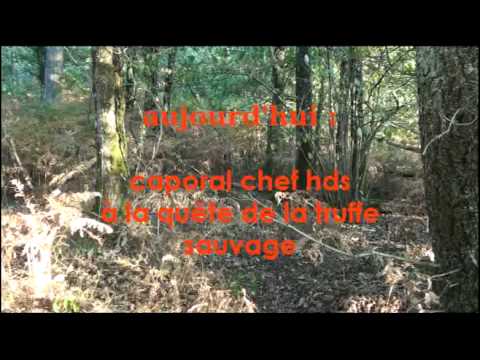 comment nettoyer truffe