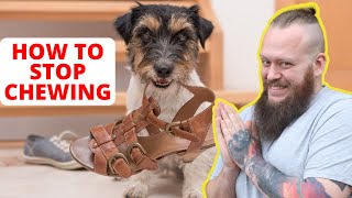 How To Stop Your Dog From Chewing!
