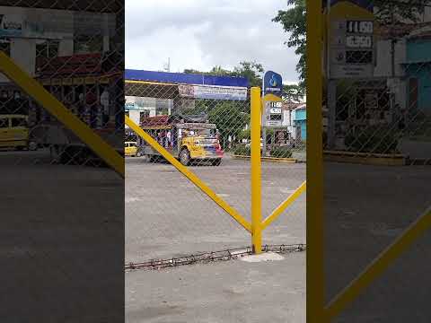 #trans Argelia y Cairo #buses escaleras #valle del cauca #colombia