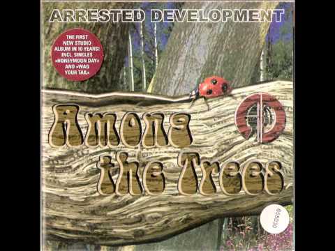 Arrested Development - Tings Distracting