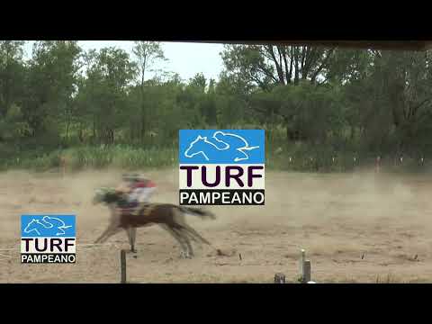 TURF - V. MACKENNA - 7-12-25 - TURF PAMPEANO - FOTOCHART FERNANDEZ