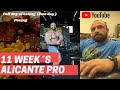 11 Week´s out to Alicante Pro / Full Day of Eating ( Low day )
