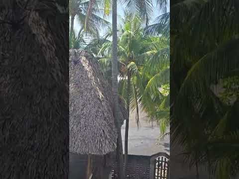 Shalpa Beach La  Libertad ☀️🌊🏝️😎 #elsalvador