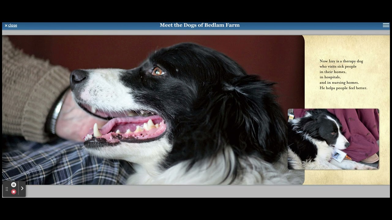 Meet the Dogs of Bedlam Farm Ebook by Jon Katz