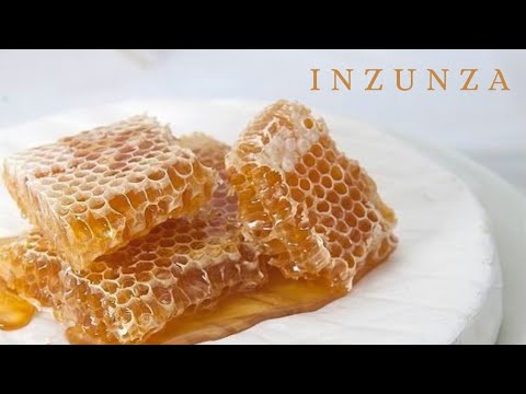 INZUNZA ✨ The ALCHEMICAL Process Of Embodying Your Highest Self🌜