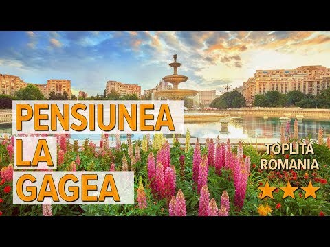 Pensiunea La Gagea hotel review | Hotels in Toplita | Romanian Hotels