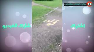 Чудеса Аллаха смотрите ради АЛЛАХА