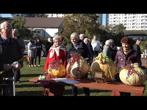 Dzień Seniora na Targówku