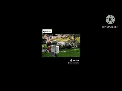 Roblox love Story Episode 6 Season 3 Final!!! 🎶🔥NEFFEX RISE🔥🎶