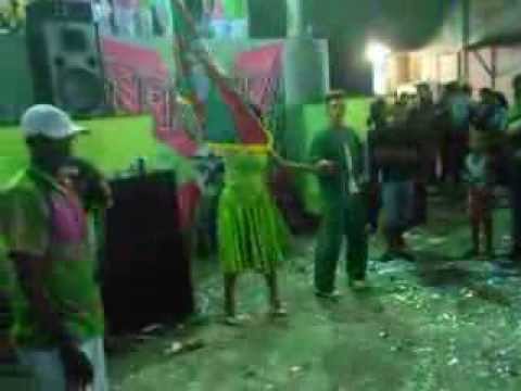 LINS IMPERIAL -FINAL DE SAMBA ENREDO 2014 -