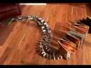 Best Domino Effect