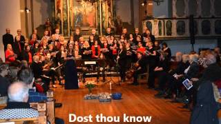 The Lamb - Kim André Arnesen