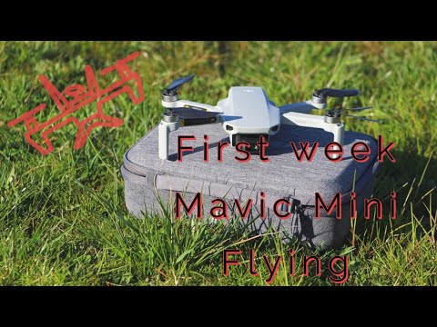 First Week DJI Mavic Mini Droning