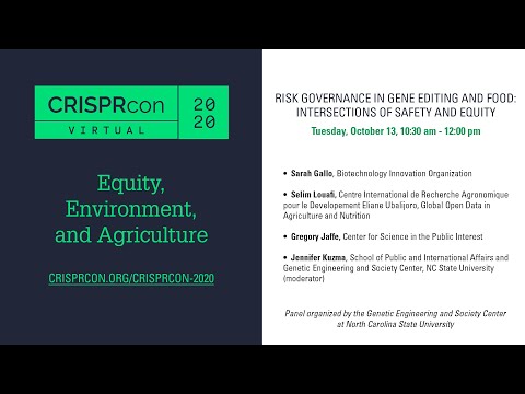 CRISPRcon 2020—Risk governance in gene editing and food: Intersections of safety and equity