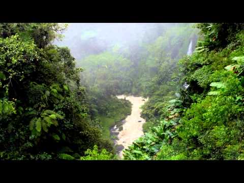 Pryda VS. Tears For Fears ~ Genesis Shout (Peter Brown 2007 Bootleg Mix)