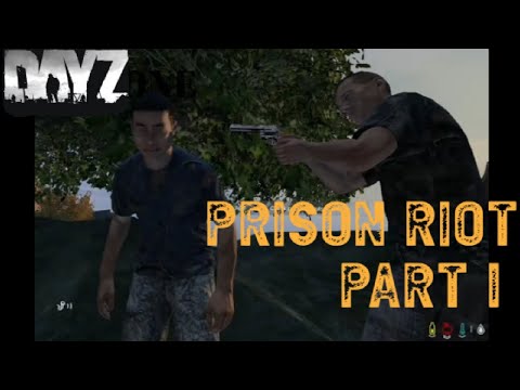 Can We ESCAPE? -Prison Riot DayZ