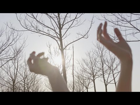 Meritas - Sve male opsjene