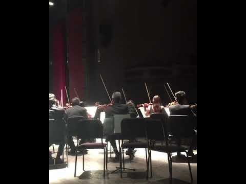 Beethoven: Symphony No 4 (Excerpt)  - Christopher Mina (Conductor) / Lara Symphony Orchestra