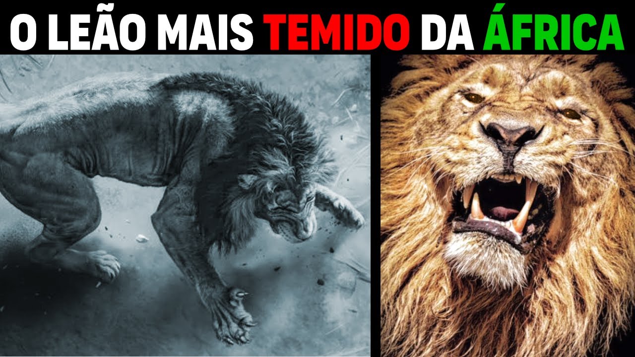 Lion - SEKEKAMA THE STRONGEST LION IN AFRICA (COMPLETE STORY)