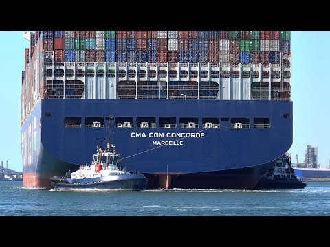 ULTRA LARGE CONTAINER SHIPS TRAFFIC AT ROTTERDAM PORT - 4K SHIPSPOTTING AUGUST 2022