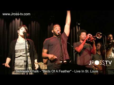 James Ross @ Sidewalk Chalk - "Birds Of A Feather - (St. Louis) www.Jross-tv.com