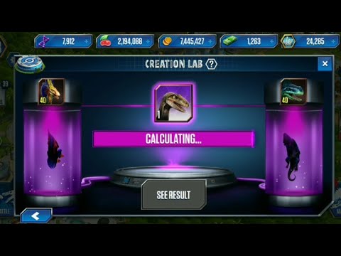 NEW HYBRID OPHIACOMIMUS IN THE THE PARK