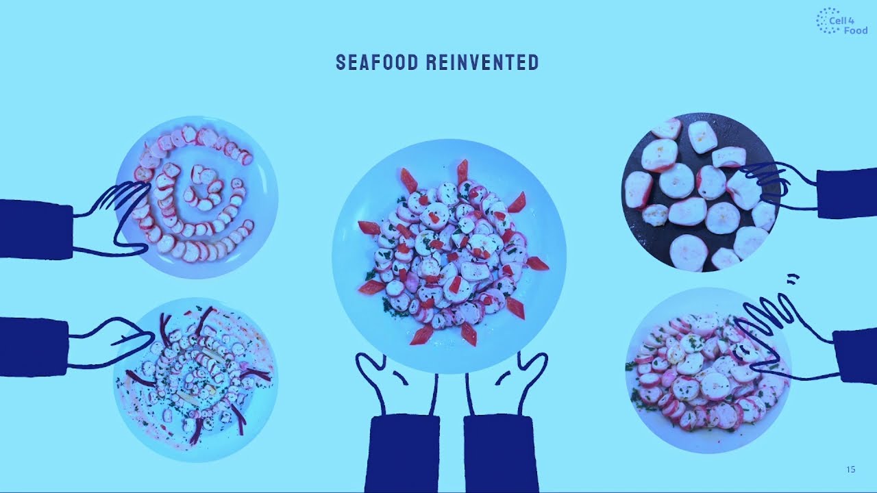 BIOMEET 2025 - New P-BIO Members spotlight: Cell4Food