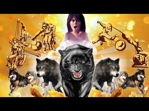 Samba Enredo 2023 - G.R.C.E.S. Camisa 12